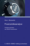RisseMorwietz, Prozessrisikoanalyse